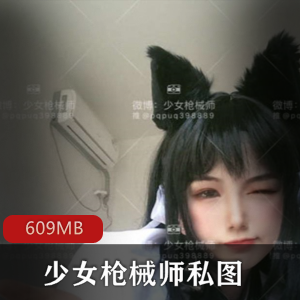 少女枪械师百万锹作品合集609MB