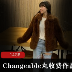 Changeable丸超薄线袜视频合集，完美腿型一览无遗！