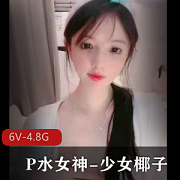 P水女神6V4.8G